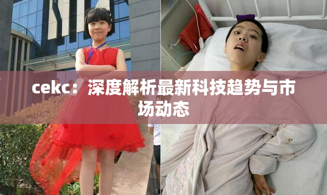 cekc：深度解析最新科技趋势与市场动态