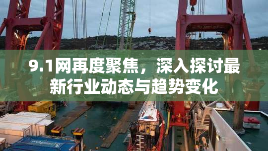 9.1网再度聚焦，深入探讨最新行业动态与趋势变化