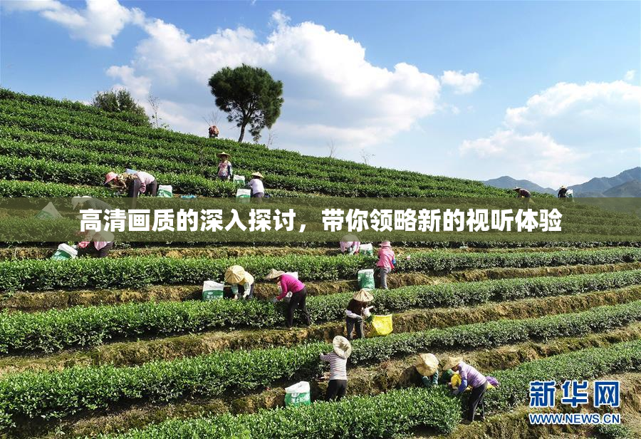 高清画质的深入探讨，带你领略新的视听体验