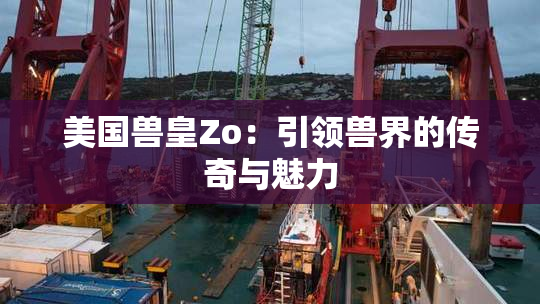 美国兽皇Zo：引领兽界的传奇与魅力