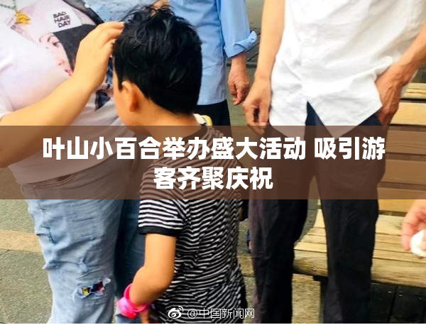 叶山小百合举办盛大活动 吸引游客齐聚庆祝