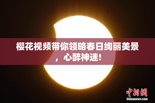 樱花视频带你领略春日绚丽美景，心醉神迷!