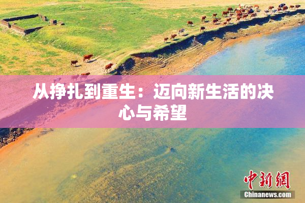 从挣扎到重生：迈向新生活的决心与希望