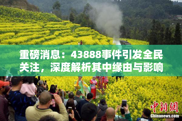 重磅消息：43888事件引发全民关注，深度解析其中缘由与影响