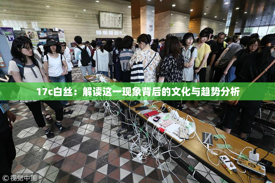 17c白丝：解读这一现象背后的文化与趋势分析