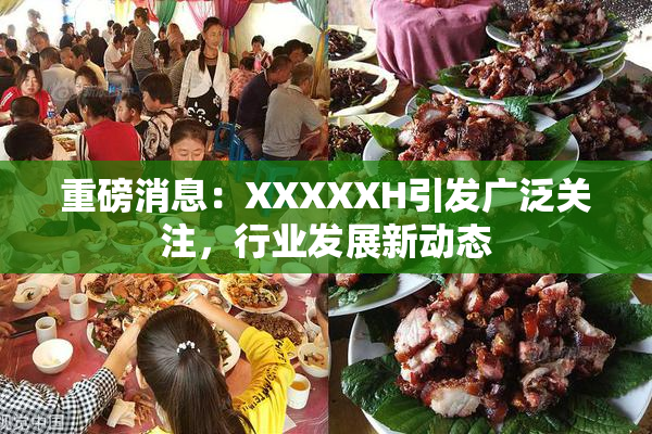 重磅消息：XXXXXH引发广泛关注，行业发展新动态