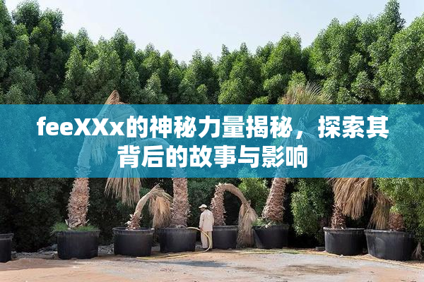 feeXXx的神秘力量揭秘，探索其背后的故事与影响