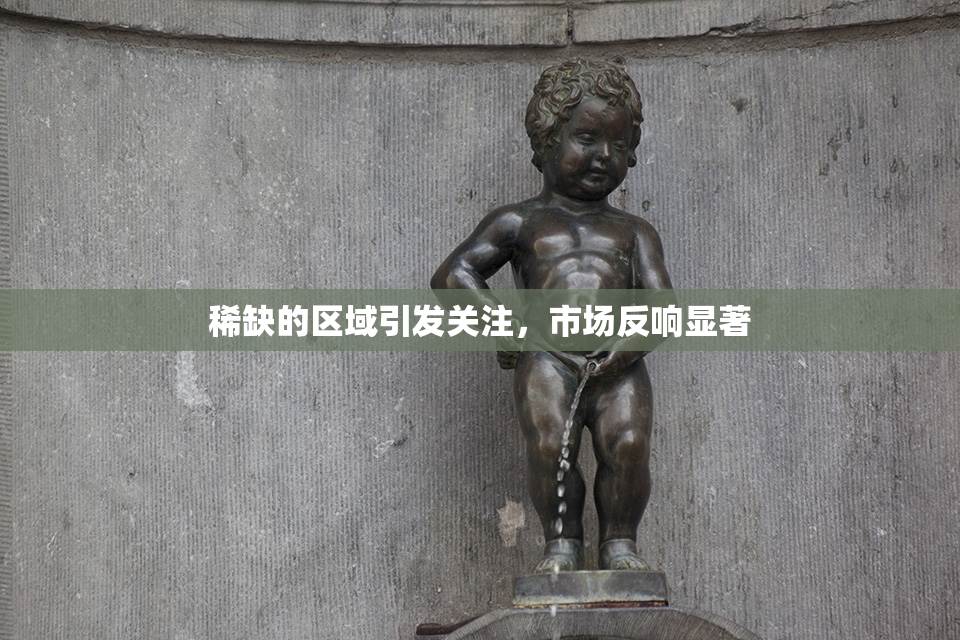 稀缺的区域引发关注，市场反响显著