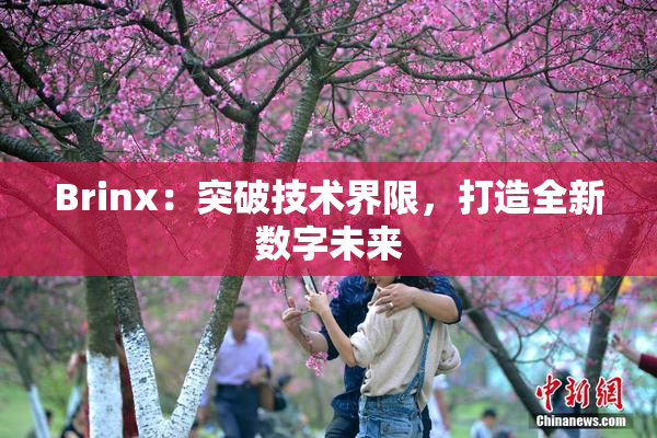 Brinx：突破技术界限，打造全新数字未来