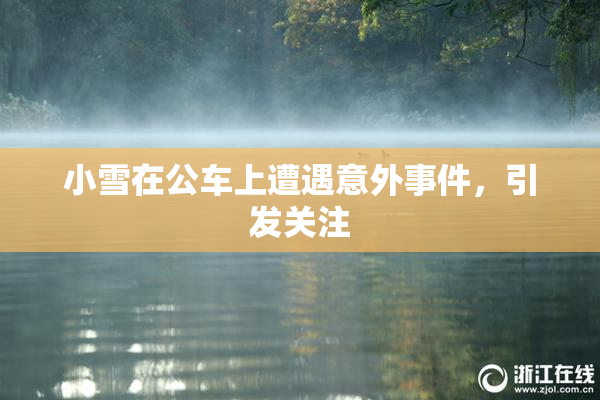 小雪在公车上遭遇意外事件，引发关注