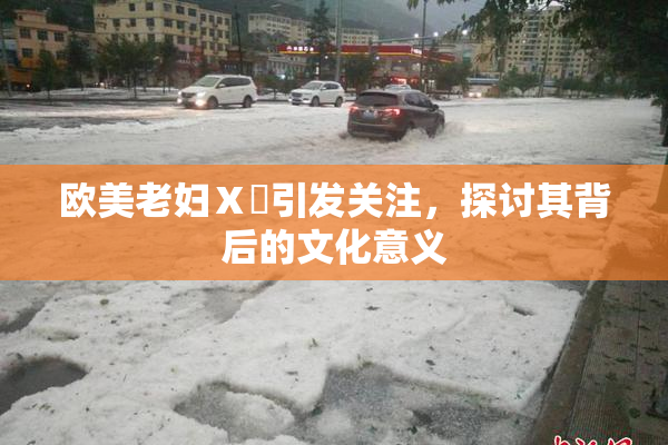 欧美老妇Ⅹ乄引发关注，探讨其背后的文化意义