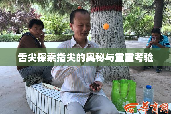 舌尖探索指尖的奥秘与重重考验