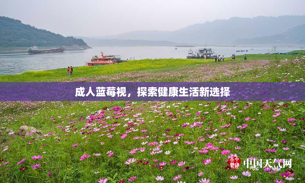 成人蓝莓视，探索健康生活新选择
