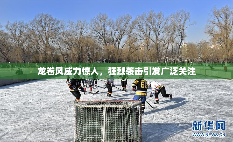 龙卷风威力惊人，狂烈袭击引发广泛关注