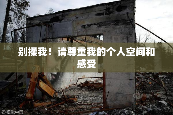 别揉我！请尊重我的个人空间和感受