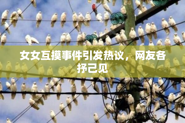 女女互摸事件引发热议，网友各抒己见