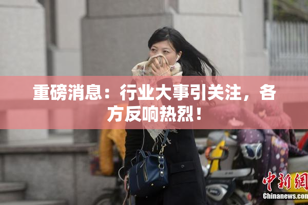 重磅消息：行业大事引关注，各方反响热烈！