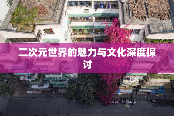 二次元世界的魅力与文化深度探讨