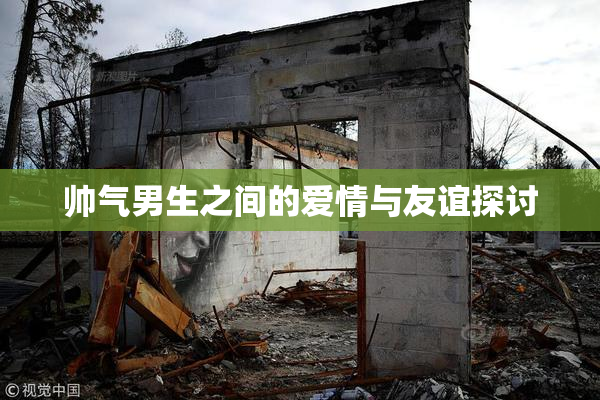 帅气男生之间的爱情与友谊探讨