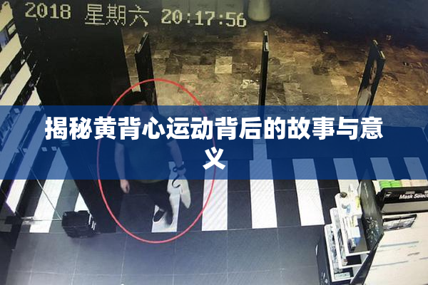 揭秘黄背心运动背后的故事与意义