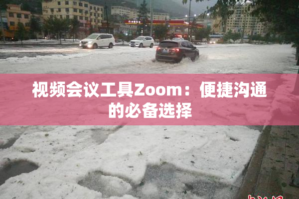 视频会议工具Zoom：便捷沟通的必备选择