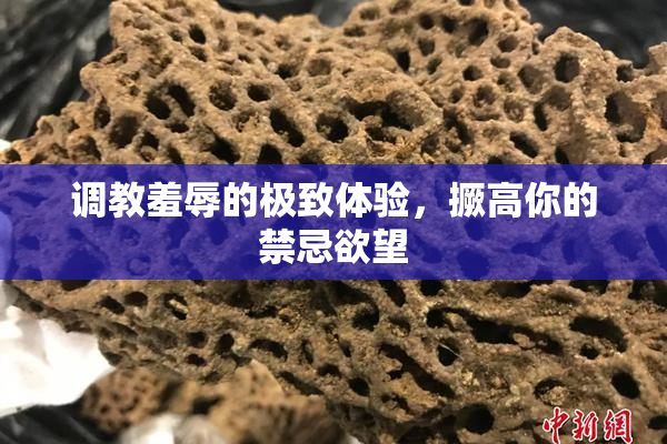 调教羞辱的极致体验，撅高你的禁忌欲望