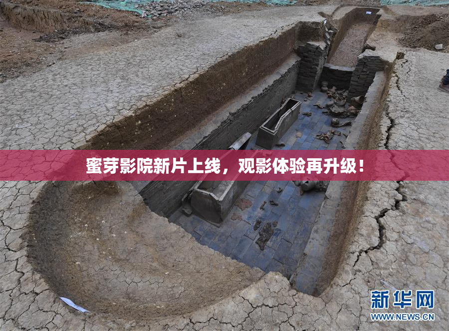 蜜芽影院新片上线，观影体验再升级！