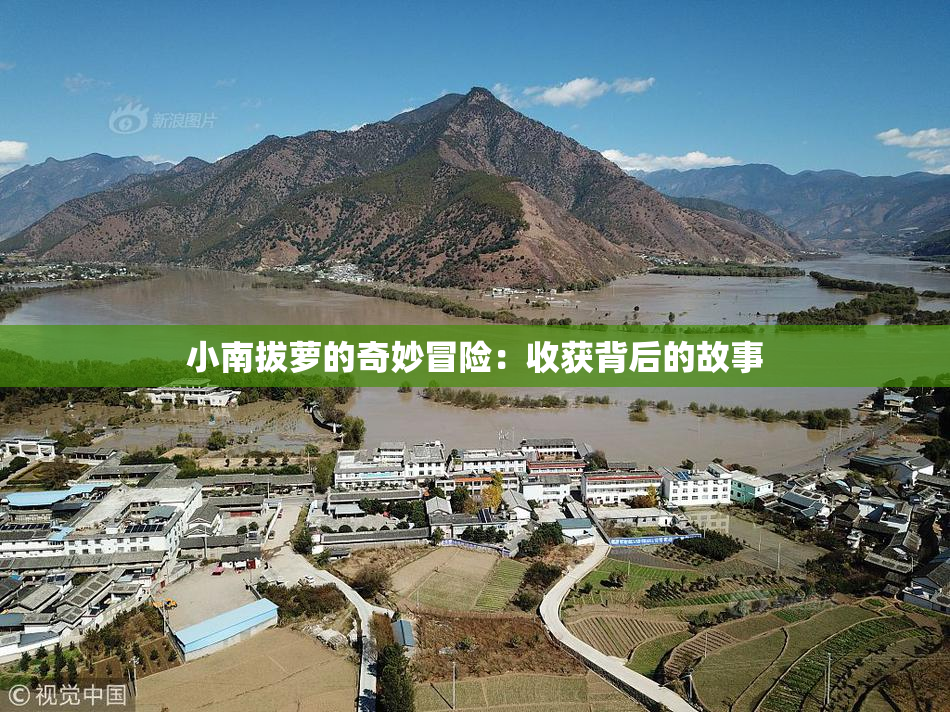 小南拔萝的奇妙冒险：收获背后的故事