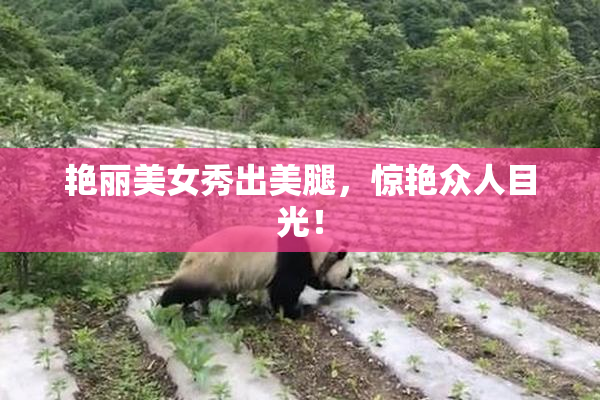 艳丽美女秀出美腿，惊艳众人目光！