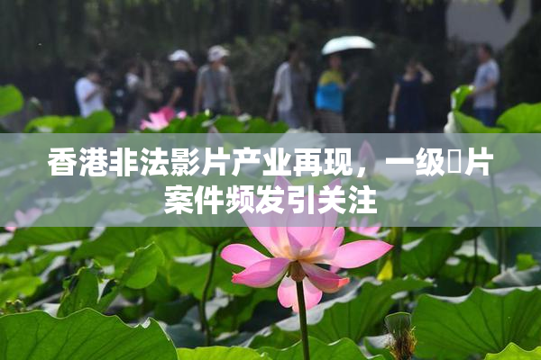 香港非法影片产业再现，一级婬片案件频发引关注