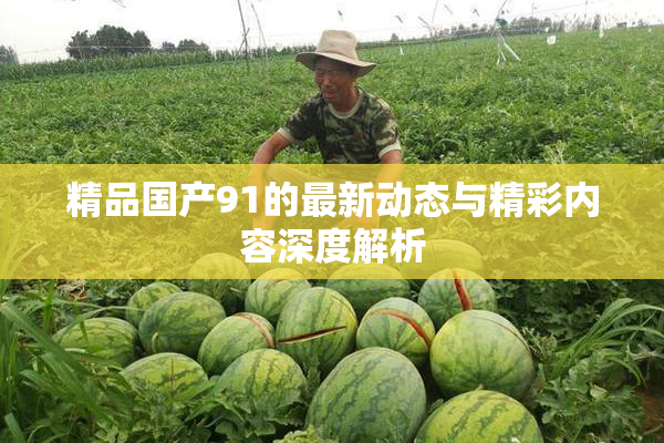 精品国产91的最新动态与精彩内容深度解析