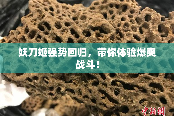 妖刀姬强势回归，带你体验爆爽战斗！