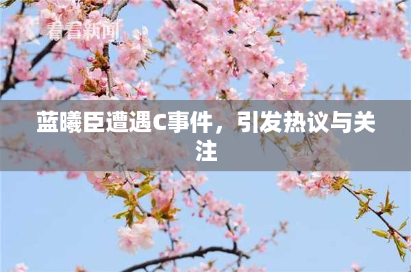 蓝曦臣遭遇C事件，引发热议与关注