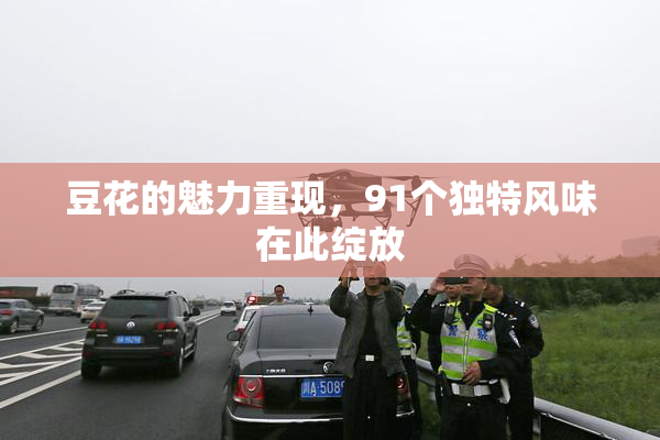 豆花的魅力重现，91个独特风味在此绽放