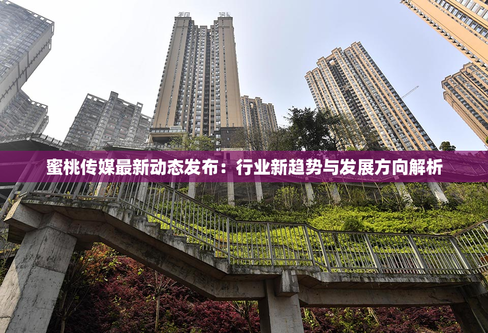 蜜桃传媒最新动态发布：行业新趋势与发展方向解析