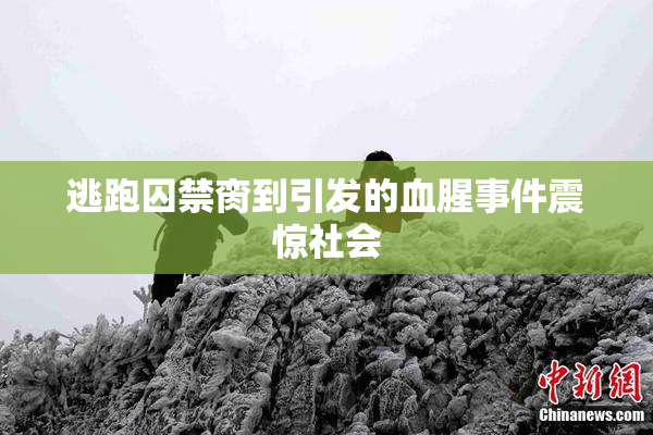 逃跑囚禁脔到引发的血腥事件震惊社会