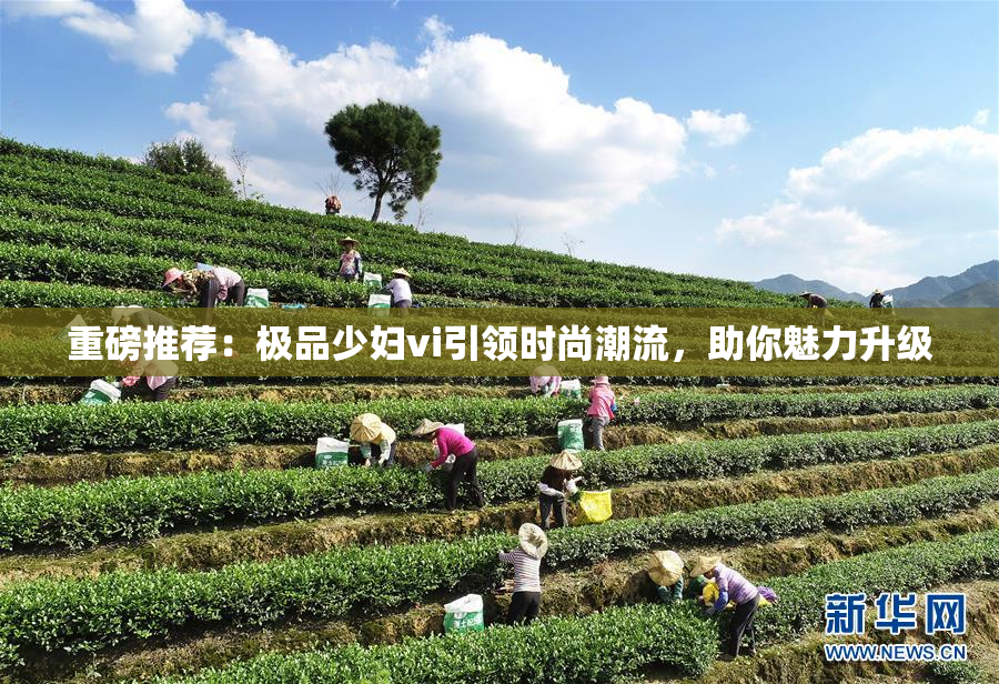重磅推荐：极品少妇vi引领时尚潮流，助你魅力升级