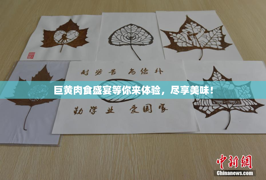 巨黄肉食盛宴等你来体验，尽享美味！