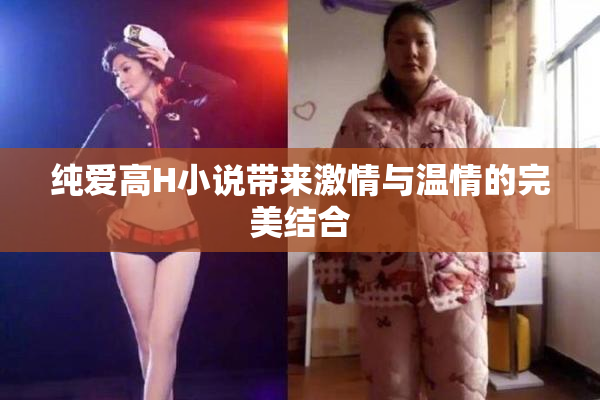 纯爱高H小说带来激情与温情的完美结合