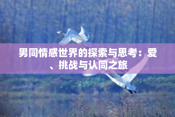 男同情感世界的探索与思考：爱、挑战与认同之旅