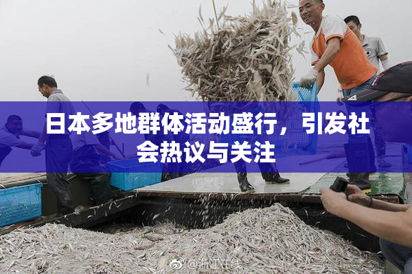 日本多地群体活动盛行，引发社会热议与关注