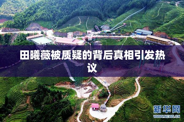 田曦薇被质疑的背后真相引发热议