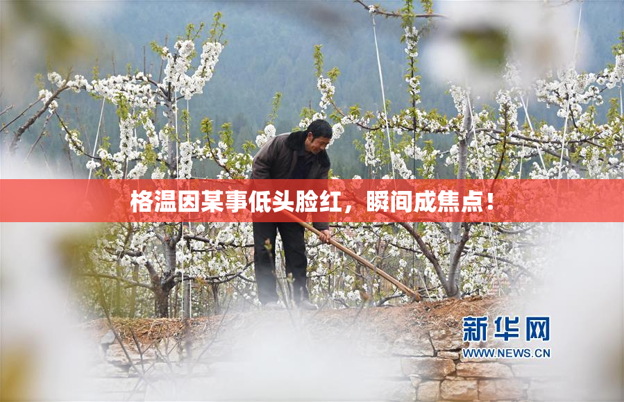 格温因某事低头脸红，瞬间成焦点！