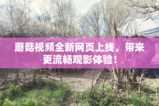蘑菇视频全新网页上线，带来更流畅观影体验！