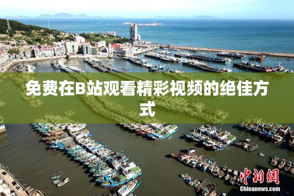 免费在B站观看精彩视频的绝佳方式