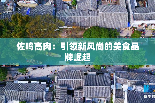 佐鸣高肉：引领新风尚的美食品牌崛起