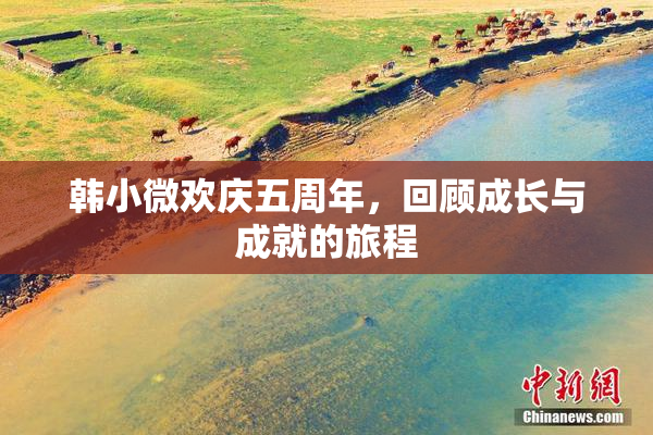 韩小微欢庆五周年，回顾成长与成就的旅程