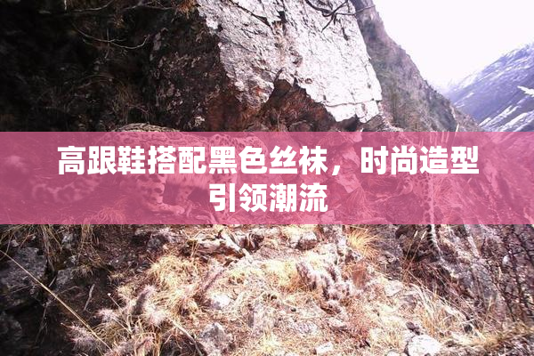 高跟鞋搭配黑色丝袜，时尚造型引领潮流