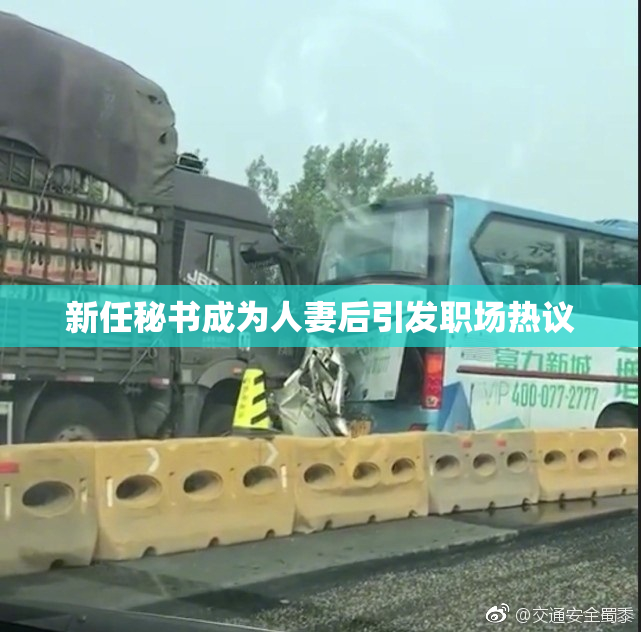 新任秘书成为人妻后引发职场热议