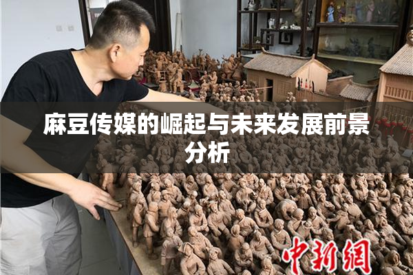 麻豆传媒的崛起与未来发展前景分析